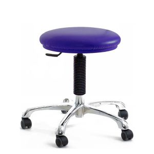 Beauty Salon Stool